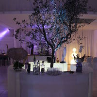Bar à cocktail