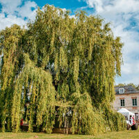 Domaine de Barive