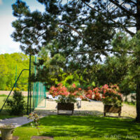 Domaine de Barive