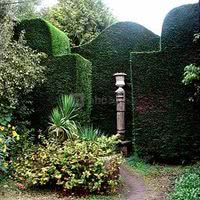 L'Orangerie du Château de Bogard