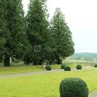 Parc