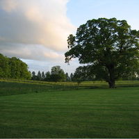 Château de Brouay