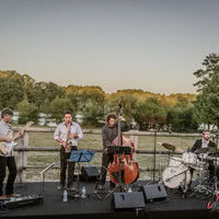 Musiciens