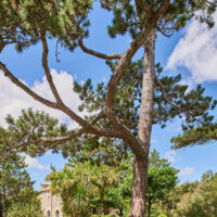Les Jardins - Ile Tatihou