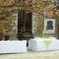 Cocktail dans la cour du château