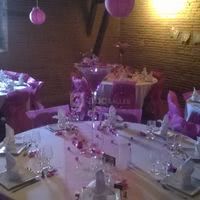 Château de Savenès