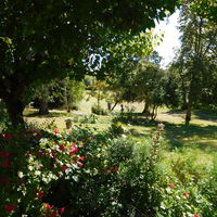Château Saint Marcel