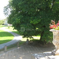 Chateau de brezal