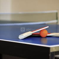 Tennis de table