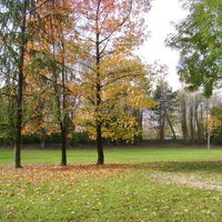 Parc
