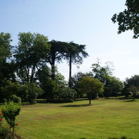 Le parc 1