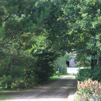 L'allée principale