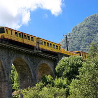 Petit-train jaune