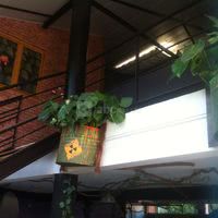 Crazy Garden