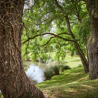 Parc