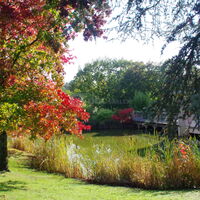 Parc