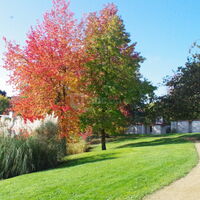 Parc