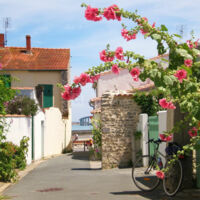 Ruelle