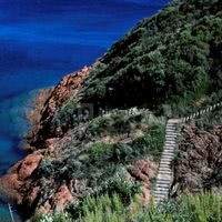 Alentours