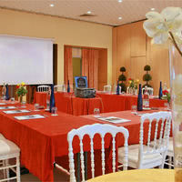 Salon hibiscus