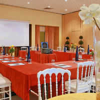 Salon hibiscus
