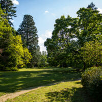Parc
