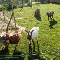 Les Granges de la Festoyrie