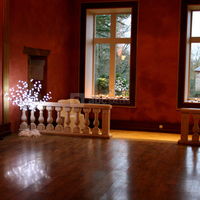 Salle de bal