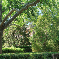 Jardins