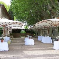 Allee des platanes cocktail
