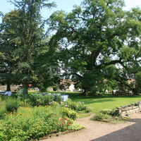 Détail sur le parc du Domaine de Montplaisir