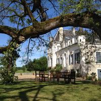 Sous les branches du Soprora centenaire au Domaine de Montplaisir
