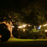 Sous les grands arbres, la nuit au Domaine de Montplaisir