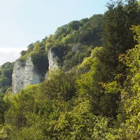 Vue depuis le jardin et l'hôtel