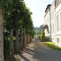 L'allée du manoir