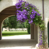 Domaine du Grand Villegomblain