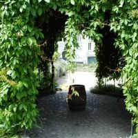 Tonnelles vignes
