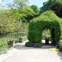 Passage vignes