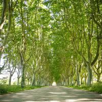 Château de Richebois