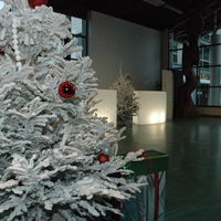 Arbre de noel espace yolaine de kepper