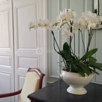 Salon bleu