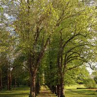 Le parc