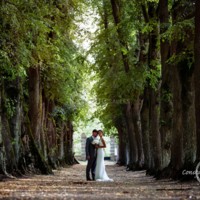 Photo de couple dans l'allée des tilleuls