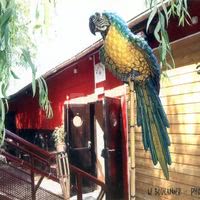Le Boucanier
