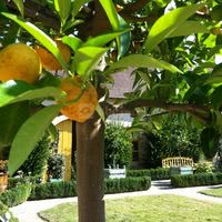 Jardins de l'orangerie