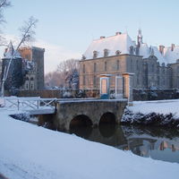 Saint loup sous la neige
