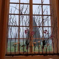 Fenêtre donnant sur le jardin