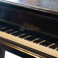 Orangerie du Château de Grosbois