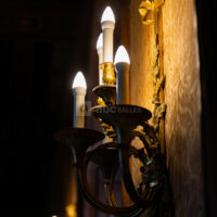 Orangerie du Château de Grosbois