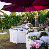 Vin d'honneur dans le jardin